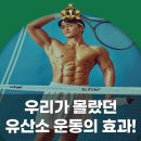 비케이 킹스코트 짐 네이버블로그