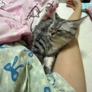 (주)이꼬르 이미지