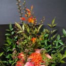 농협하나로마트 용호점 이미지