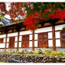 일흥주단 | 秋風詞(추풍사) 李德懋(이덕무)