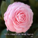 2013년6월6일 연중 제9주간 목요일 복음묵상 이미지