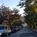 2019 영주 부석사의 만만추(晩晩秋)