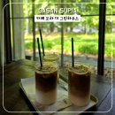 곳] 가산수피아 카페 모하(MOHA) 더 그린하우스, 푸른 청보리밭이 보이는 애견 동반 카페 내돈내산 후기