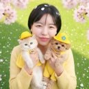 소문난 강아지 이미지