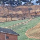 천4리마을회관 | 구례 여행 코스 1박 2일 | 산수유·매화·벚꽃 시즌 총정리