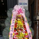 영카모터스 이미지