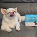 구강농장 이미지