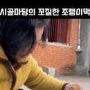 시골마당의 꼬질한 조랭이떡 이미지