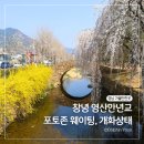 대가미공원_노인복지회관 | 부산 근교 당일치기 여행지 창녕 벚꽃 명소 영산만년교 주차, 개화, 포토존 총정리