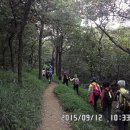 대신공원 숲길 이미지