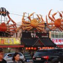 2018 포항 구룡포 과메기 축제를 다녀와서.... 이미지