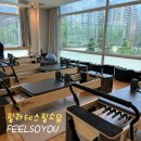 임산부 운동 그룹 필라테스 후기 : 필라테스필소유 노원