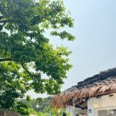 문수별당 | [내돈내산 후기] 울산 카페 핫플 '문수별당' 솔직 후기