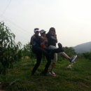 소월1리 이미지