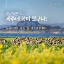 제주와봄 - 제주시 벌랑6길 18-1 | 제주와봄