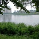 광교호수로-1 이미지