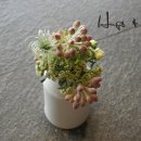 (주)아난티코브 아난티펜트하우스 해운대 이미지