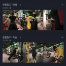 홍크짐 이미지