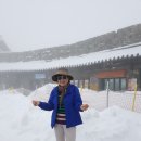 하늘땅펜션 이미지