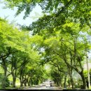 제주축산농협한우프라자아라점 이미지