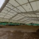 야음테니스장 이미지