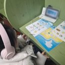 우리집앞영어교실영어교습소