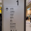 모던펫코리아 이미지