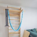 선축산 | 파파우디 슈로스바 내돈내산 후기 / 해먹,체조링 바풀 운동법