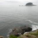 [피서 성지 순례] 바다와 해송, 기암괴석이 어우러진 해안 경승지 ~ 부산 몰운대 (다대포해변) 이미지