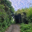 소성2리경로당 이미지