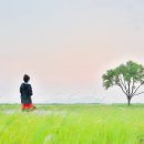 바람불어 좋은날 이미지