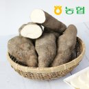 북안동