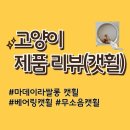 나니쌀롱 | 고양이 캣휠 : 마데이라쌀롱 캣휠 화이트1200사이즈! 내돈내산 강추템! 2달 실사용후기