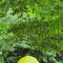 함허동천(샤워장) 이미지