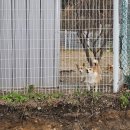 정성주유소 이미지