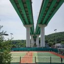 판교일등공인중개사사무소 이미지