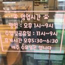 인투캣츠 이미지