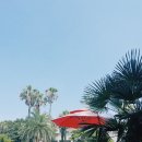 마이테르수영장 이미지