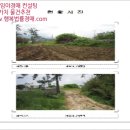 덕진면사무소 네이버블로그
