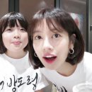 브이로그