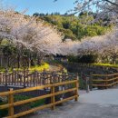 서홍동주민센터 이미지