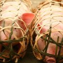 돼지우리 이미지