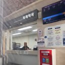 전대약국 | [임신일기4] 광주 전대병원 정밀초음파, 임당검사 후기