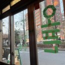 멍멍이 보러올래? 이미지