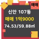 신안월드공인중개사사무소 이미지