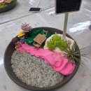 내서초등학교병설유치원 네이버블로그