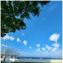 청하당한의원 이미지