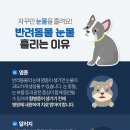 화도동물병원 이미지