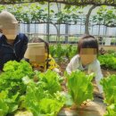 꽃들에나라어린이집 이미지