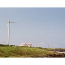 바람의언덕 Daum카페